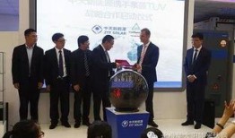 新疆最新新闻爆料消息视频,揭秘神秘事件背后的真相