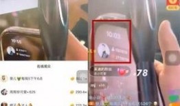 仙家主播爆料视频大全最新,视频大全背后的惊人真相